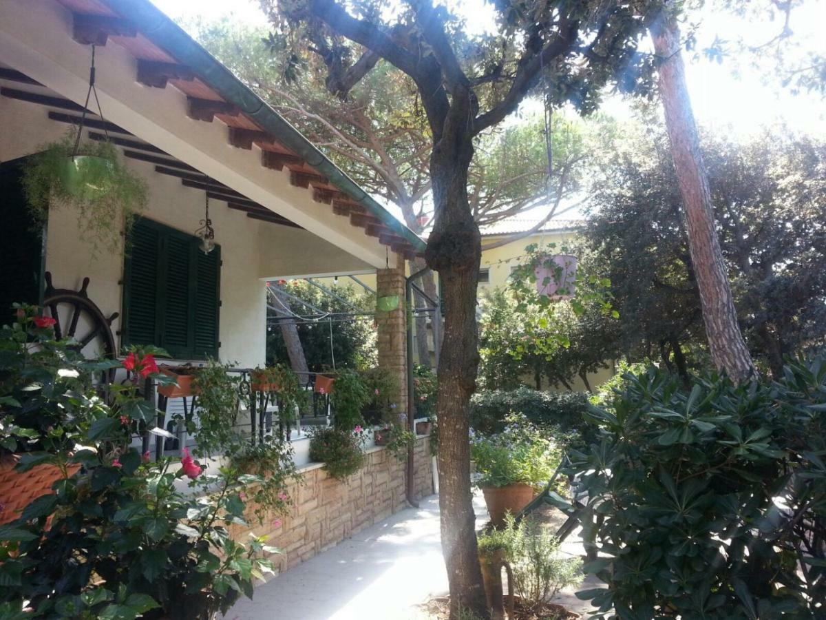 La Zattera Camere San Vincenzo Exteriér fotografie
